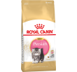 Persian Kitten Royal Canin